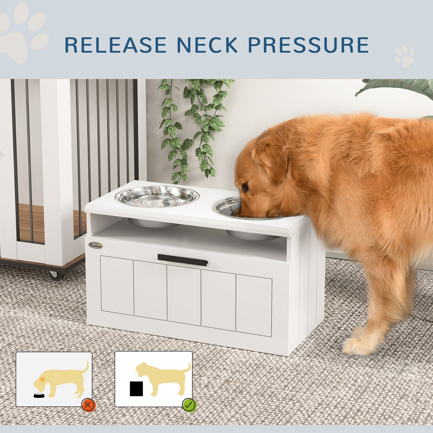 Raised Dog Bowl With Slow Feeder